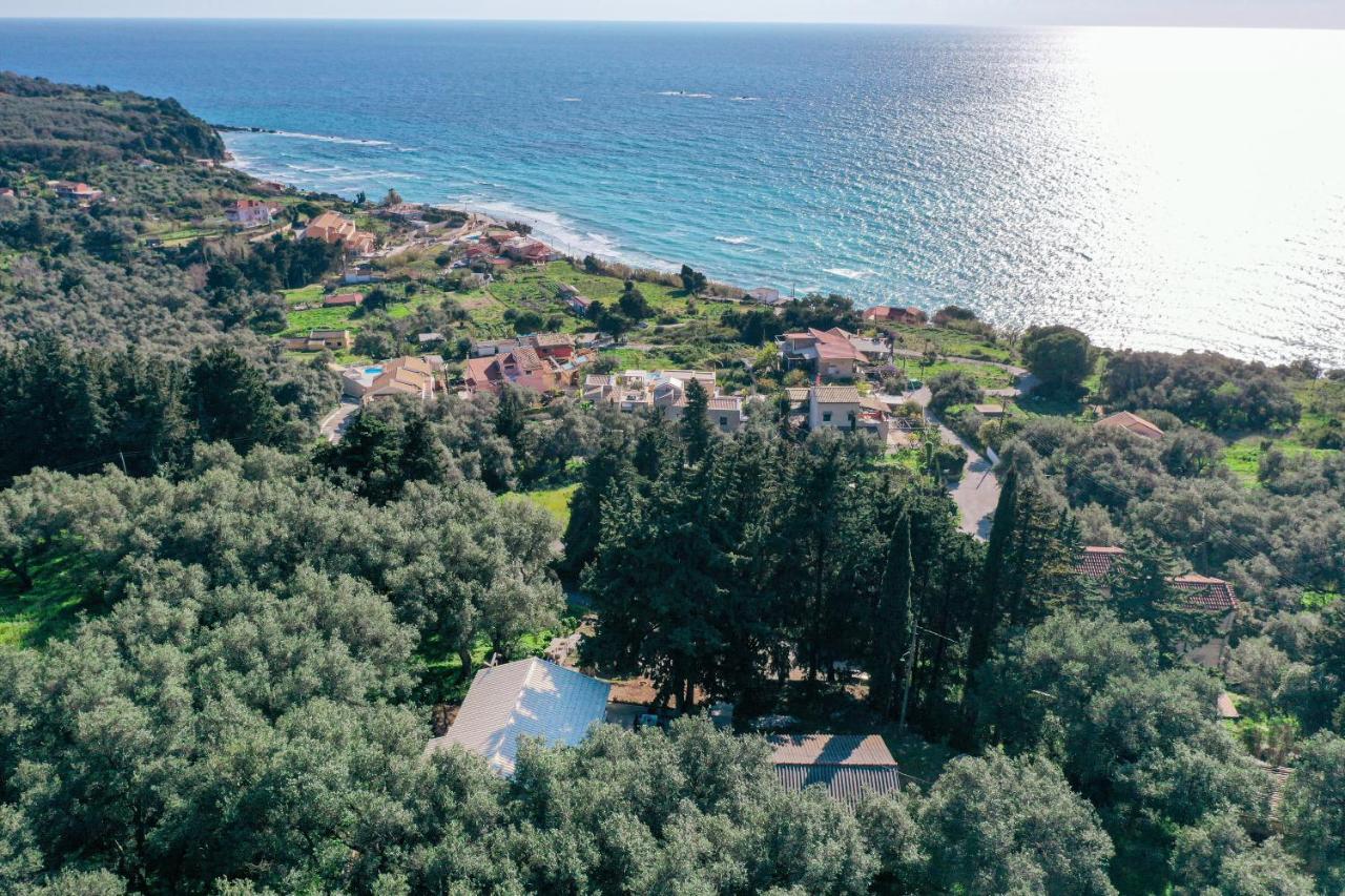 Amaryllis Seaview House By Guestcorfu Lejlighed Paramonas  Eksteriør billede